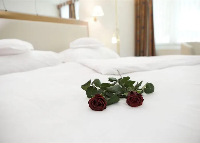 Alpen & ツェルマット